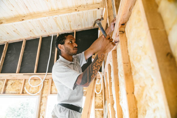 Best Wall Insulation Contractor  in Wentworth, NC