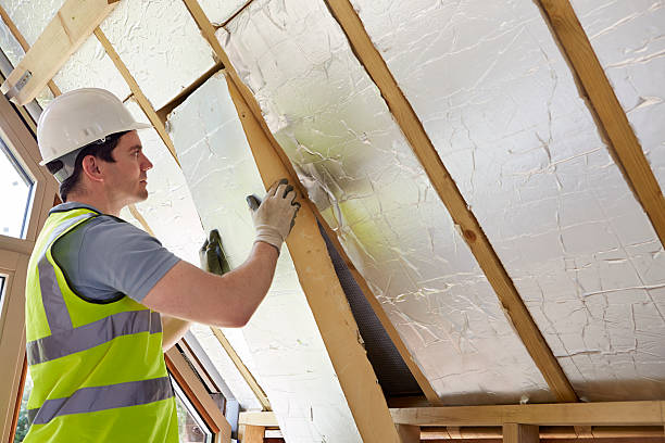 Insulation Inspection Services in Wentworth, NC