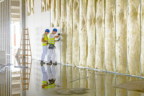 Insulation Replacement Services in Wentworth, NC